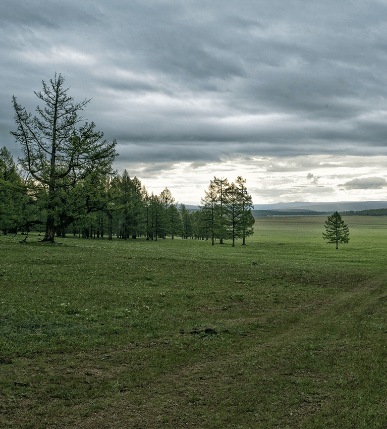 rodent control technician in Duvall WA