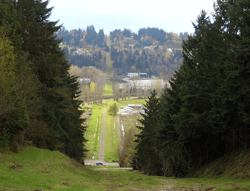 woodiville-1